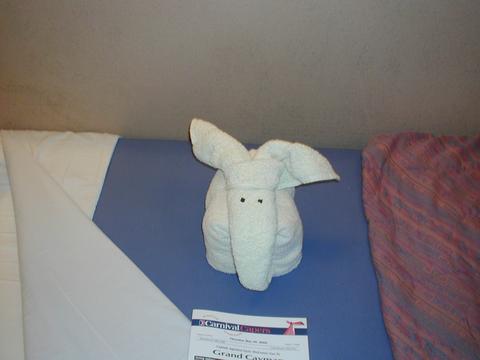 towelanimal.jpg